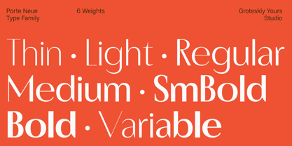 Porte Neue Font Poster 6