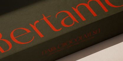 Porte Neue Font Poster 5