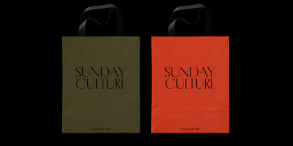 Porte Neue Font Poster 8