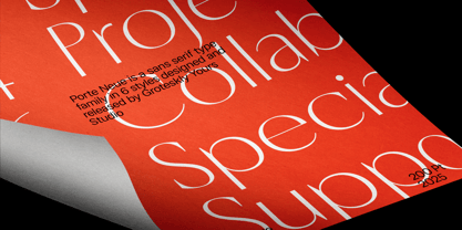 Porte Neue Font Poster 14