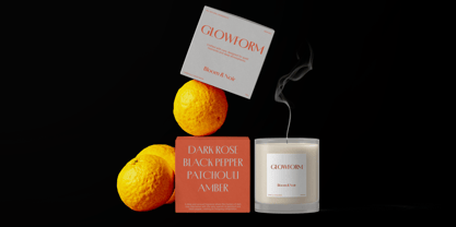 Porte Neue Font Poster 2