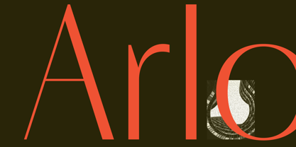 Porte Neue Font Poster 12