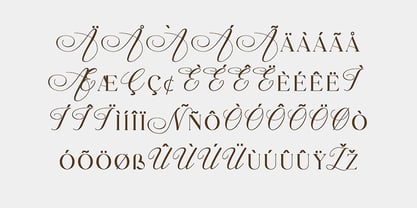 Diana Romance Font Poster 10