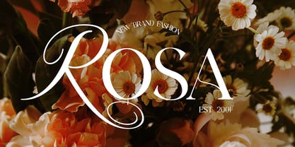 Diana Romance Font Poster 5