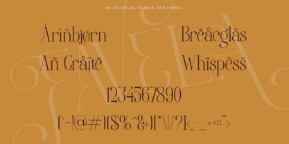 Favela Font Poster 13