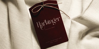 Favela Font Poster 10