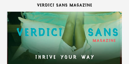 Verdict Sans Font Poster 1