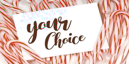 Themasion Script Font Poster 6