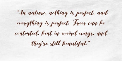 Themasion Script Font Poster 2