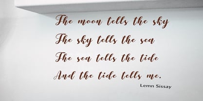 Themasion Script Font Poster 5