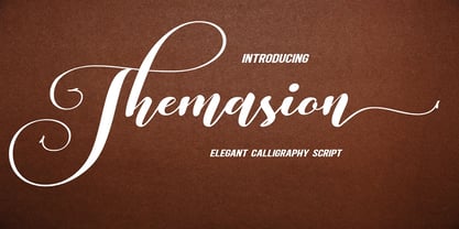 Themasion Script Font Poster 1