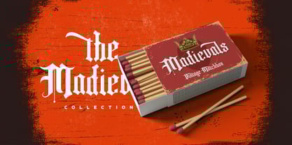 Fancy Quisley Font Poster 5