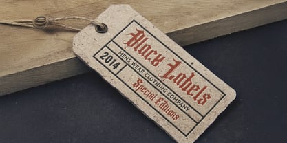 Fancy Quisley Font Poster 3