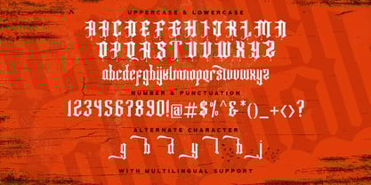 Fancy Quisley Font Poster 8