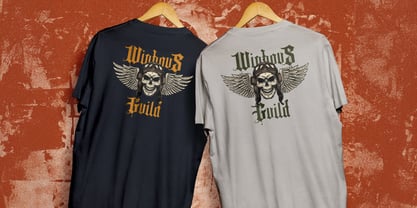 Fancy Quisley Font Poster 2