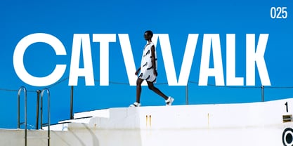 Plex beta Font Poster 8