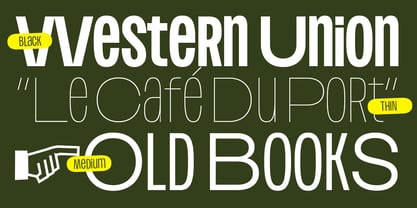 Plex beta Font Poster 3