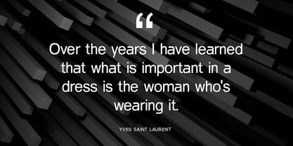 Berkelium Sans Font Poster 9