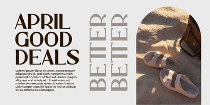 Wiselly Font Poster 3
