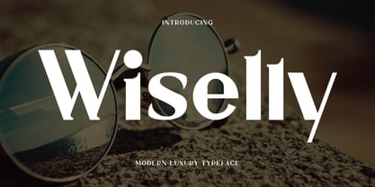 Wiselly Font Poster 1