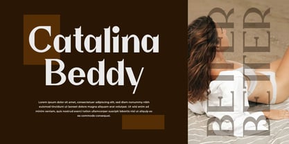Wiselly Font Poster 8