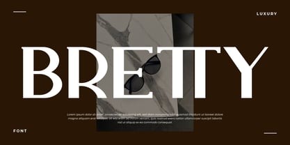 Wiselly Font Poster 2