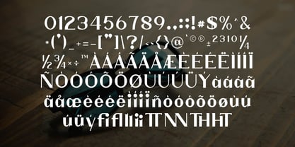 Wiselly Font Poster 4