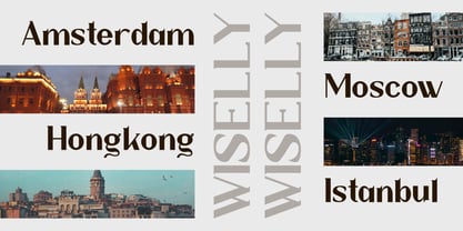Wiselly Font Poster 5