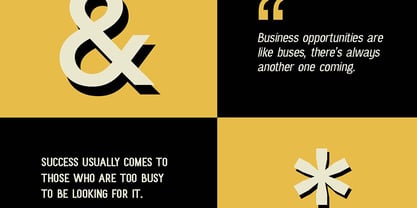 Overmature grotesk Font Poster 10