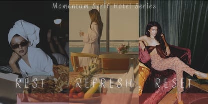 Momentum Serif Font Poster 4