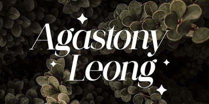 Quarter Back Font Poster 9