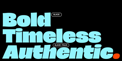 JT Remillo Font Poster 9