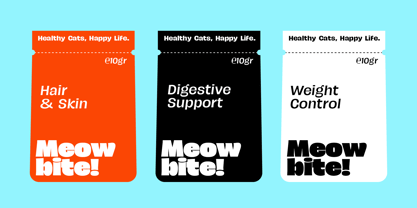 JT Remillo Font Poster 14