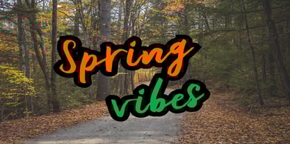 Litikha Font Poster 5