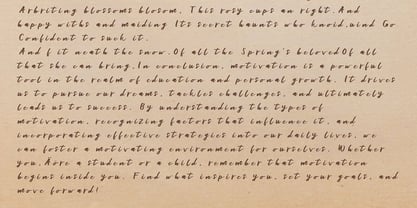 Litikha Font Poster 2