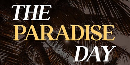 Meganfolk Font Poster 4