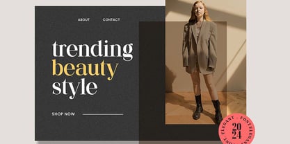 Meganfolk Font Poster 5