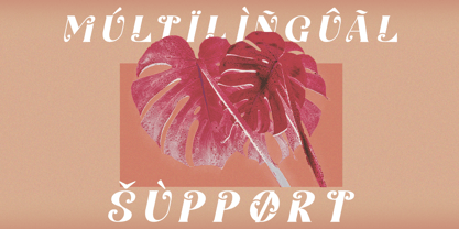 Jalibar Font Poster 8