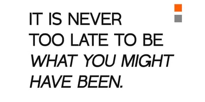 Gapicle Grotesk Font Poster 9