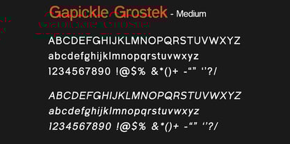 Gapicle Grotesk Font Poster 6