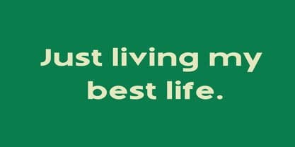 Ferrow Font Poster 2