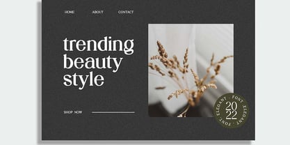 Stylebooks Typeface Font Poster 8