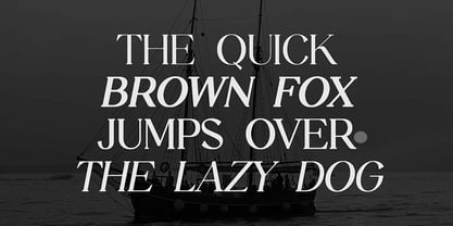 Stylebooks Typeface Font Poster 2