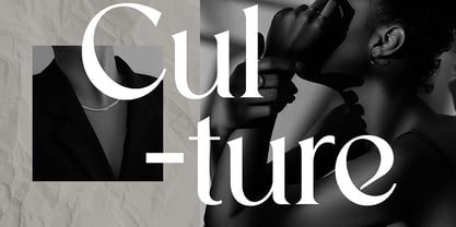 Stylebooks Typeface Font Poster 7