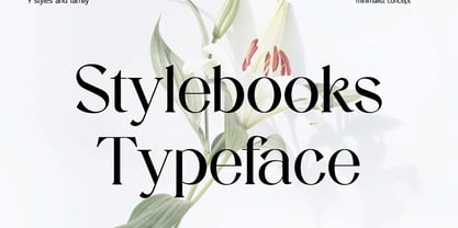 Stylebooks Typeface Font Poster 1