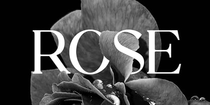 Stylebooks Typeface Font Poster 4