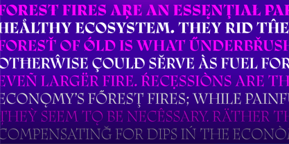 Ciclo Display Font Poster 4