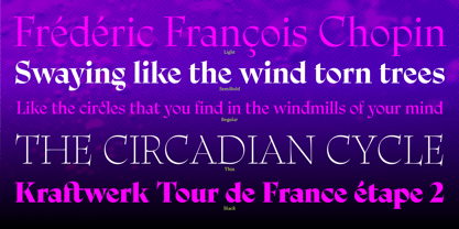 Ciclo Display Font Poster 14