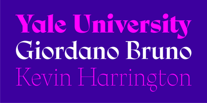 Ciclo Display Font Poster 9