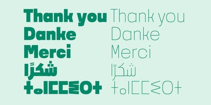 Noda Arabic Font Poster 6